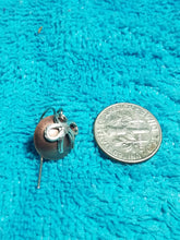 Dapped earrings