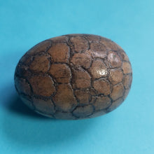 Stone Dragon egg.